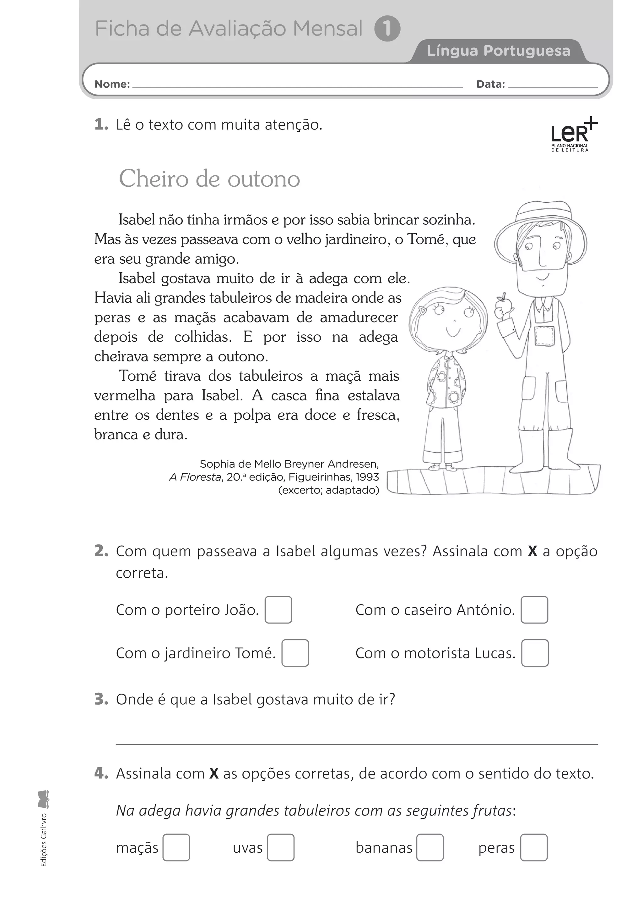 Fichas de avaliação língua portuguesa 2o ano | PDF