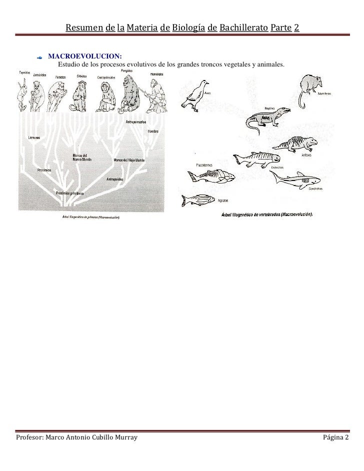 Libro La Biologia De La Transformacion Pdf To Excel