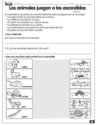 Nombre: 	Fecha:
online
20
Los animales juegan a las escondidas
Adaptación
Los animales se esconden de maneras diferentes para protegerse de sus enemigos:
• Un gato montés se esconde detrás de un tronco.
• La ardilla se esconde en su hoyo.
• El castor se esconde en su casa de ramas.
• La tortuga se esconde en su concha.
• La mantarraya se esconde en la arena del fondo del mar.
• El palote se esconde sobre un palito.
• Lee y responde.
¿Por qué se esconden los animales?
Y tú, ¿te has escondido alguna vez? ¿Por qué?
• Une con una línea cada animal con su escondite.
ardilla
castor
mantarraya
tortuga
gato
palote
 