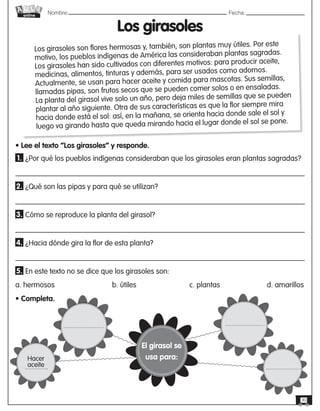 Nombre: 	Fecha:
online
30
Los girasoles
Los girasoles son flores hermosas y, también, son plantas muy útiles. Por este
motivo, los pueblos indígenas de América las consideraban plantas sagradas.
Los girasoles han sido cultivados con diferentes motivos: para producir aceite,
medicinas, alimentos, tinturas y además, para ser usados como adornos.
Actualmente, se usan para hacer aceite y comida para mascotas. Sus semillas,
llamadas pipas, son frutos secos que se pueden comer solos o en ensaladas.
La planta del girasol vive solo un año, pero deja miles de semillas que se pueden
plantar al año siguiente. Otra de sus características es que la flor siempre mira
hacia donde está el sol: así, en la mañana, se orienta hacia donde sale el sol y
luego va girando hasta que queda mirando hacia el lugar donde el sol se pone.
• Lee el texto “Los girasoles” y responde.
1. ¿Por qué los pueblos indígenas consideraban que los girasoles eran plantas sagradas?
2. ¿Qué son las pipas y para qué se utilizan?
3. Cómo se reproduce la planta del girasol?
4. ¿Hacia dónde gira la flor de esta planta?
5. En este texto no se dice que los girasoles son:
a. hermosos			b. útiles			c. plantas			d. amarillos
• Completa.
Hacer
aceite
El girasol se
usa para:
 