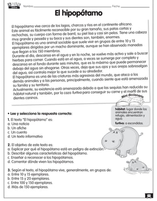 Nombre: 	Fecha:
online
39
El hipopótamo
El hipopótamo vive cerca de los lagos, charcos y ríos en el continente africano.
Este animal es fácilmente reconocible por su gran tamaño, sus patas cortas y
rechochas, su cuerpo con forma de barril, su piel lisa y casi sin pelos. Tiene una cabeza
muy grande y pesada y su boca y sus dientes son, también, enormes.
El hipopótamo es una animal sociable que suele vivir en grupos de entre 10 y 15
ejemplares dirigidos por un macho dominante, aunque se han observado manadas
que llegan a los 150 miembros.
Durante el día, descansa en el agua y en la noche, se vuelve más activo y sale a buscar
hierbas para comer. Cuando está en el agua, a veces se sumerge por completo y
descansa en el fondo durante seis minutos, que es lo máximo que puede permanecer
debajo del agua sin ahogarse. Otras veces, deja que sus ojos y sus orejas sobresalgan
del agua, así controla mejor lo que sucede a su alrededor.
El hipopótamo es una de las criaturas más agresivas del mundo, que ataca a los
demás animales y a las personas, principalmente, cuando siente que está amenazada
su familia y su territorio.
Actualmente, su existencia está amenazada debido a que las sequías han reducido su
hábitat natural y también, por la caza furtiva para conseguir su carne y el marfil de sus
dientes caninos. Mini diccionario
hábitat: lugar donde los
animales encuentran
refugio, alimentación y
agua.
furtiva: a escondidas.
• Lee y selecciona la respuesta correcta:
1. El texto “El hipopótamo” es:
a. Una noticia
b. Un afiche
c. Un cuento
d. Un texto informativo
2. El objetivo de este texto es:
a. Explicar por qué el hipopótamo está en peligro de extinción.
b. Describir algunas características del hipopótamo.
c. Enseñar a reconocer a los hipopótamos.
d. Comentar dónde viven los hipopótamos.
3. Según el texto, el hipopótamo vive, generalmente, en grupos de:
a. Entre 10 y 15 ejemplares.
b. Entre 15 y 20 ejemplares.
c. Entre 100 y 150 ejemplares.
d. Más de 150 ejemplares.
 