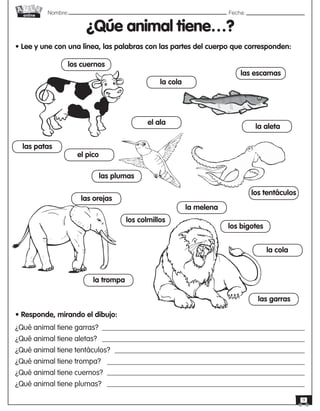 Nombre: 	Fecha:
online
9
¿Qúe animal tiene…?
• Lee y une con una línea, las palabras con las partes del cuerpo que corresponden:
¿Qué animal tiene garras?
¿Qué animal tiene aletas?
¿Qué animal tiene tentáculos?
¿Qué animal tiene trompa?
¿Qué animal tiene cuernos?
¿Qué animal tiene plumas?
• Responde, mirando el dibujo:
los cuernos
las patas
el ala
el pico
las escamas
la cola
la aleta
los tentáculos
la trompa
las orejas
las garras
los colmillos
la cola
los bigotes
las plumas
la melena
 
