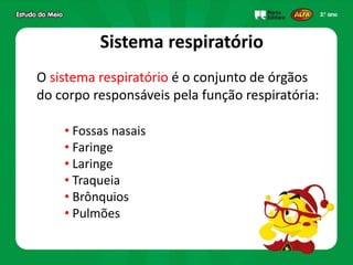 Sistema respiratório
O sistema respiratório é o conjunto de órgãos
do corpo responsáveis pela função respiratória:
• Fossas nasais
• Faringe
• Laringe
• Traqueia
• Brônquios
• Pulmões
 