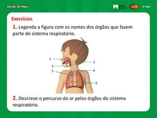 Exercícios
1. Legenda a figura com os nomes dos órgãos que fazem
parte do sistema respiratório.
2. Descreve o percurso do ar pelos órgãos do sistema
respiratório.
1
2
3
45
6
 