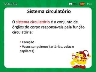 Sistema circulatório
O sistema circulatório é o conjunto de
órgãos do corpo responsáveis pela função
circulatória:
• Coração
• Vasos sanguíneos (artérias, veias e
capilares)
 