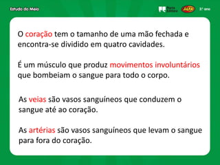O coração tem o tamanho de uma mão fechada e
encontra-se dividido em quatro cavidades.
É um músculo que produz movimentos involuntários
que bombeiam o sangue para todo o corpo.
As veias são vasos sanguíneos que conduzem o
sangue até ao coração.
As artérias são vasos sanguíneos que levam o sangue
para fora do coração.
 