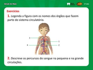 Exercícios
1. Legenda a figura com os nomes dos órgãos que fazem
parte do sistema circulatório.
2. Descreve os percursos do sangue na pequena e na grande
circulações.
1
2
3
4
 