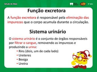 Função excretora
A função excretora é responsável pela eliminação das
impurezas que o corpo acumula durante a circulação.
Sistema urinário
O sistema urinário é o conjunto de órgãos responsáveis
por filtrar o sangue, removendo as impurezas e
produzindo a urina:
• Rins (dois, um de cada lado)
• Ureteres
• Bexiga
• Uretra
 