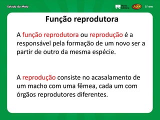Função reprodutora
A função reprodutora ou reprodução é a
responsável pela formação de um novo ser a
partir de outro da mesma espécie.
A reprodução consiste no acasalamento de
um macho com uma fêmea, cada um com
órgãos reprodutores diferentes.
 