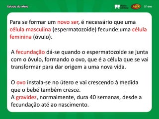 Para se formar um novo ser, é necessário que uma
célula masculina (espermatozoide) fecunde uma célula
feminina (óvulo).
A fecundação dá-se quando o espermatozoide se junta
com o óvulo, formando o ovo, que é a célula que se vai
transformar para dar origem a uma nova vida.
O ovo instala-se no útero e vai crescendo à medida
que o bebé também cresce.
A gravidez, normalmente, dura 40 semanas, desde a
fecundação até ao nascimento.
 