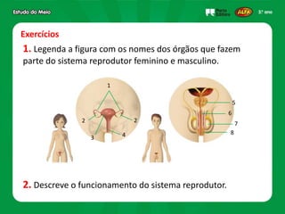 Exercícios
1. Legenda a figura com os nomes dos órgãos que fazem
parte do sistema reprodutor feminino e masculino.
2. Descreve o funcionamento do sistema reprodutor.
1
22
3 4
5
6
7
8
 