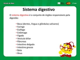 Sistema digestivo
O sistema digestivo é o conjunto de órgãos responsáveis pela
digestão:
• Boca (dentes, língua e glândulas salivares)
• Faringe
• Esófago
• Estômago
• Fígado
• Vesícula biliar
• Pâncreas
• Intestino delgado
• Intestino grosso
• Reto
• Ânus
 