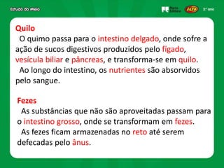 Quilo
O quimo passa para o intestino delgado, onde sofre a
ação de sucos digestivos produzidos pelo fígado,
vesícula biliar e pâncreas, e transforma-se em quilo.
Ao longo do intestino, os nutrientes são absorvidos
pelo sangue.
Fezes
As substâncias que não são aproveitadas passam para
o intestino grosso, onde se transformam em fezes.
As fezes ficam armazenadas no reto até serem
defecadas pelo ânus.
 