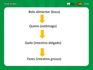 Bolo alimentar (boca)
Quimo (estômago)
Quilo (intestino delgado)
Fezes (intestino grosso)
 