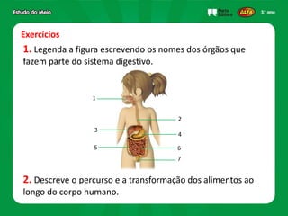Exercícios
1. Legenda a figura escrevendo os nomes dos órgãos que
fazem parte do sistema digestivo.
2. Descreve o percurso e a transformação dos alimentos ao
longo do corpo humano.
1
2
3
4
5 6
7
 