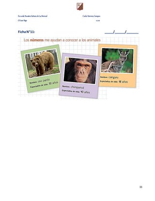 Escuela Nuestra Señora de La Merced Carla Herrera Campos
Olivar Bajo 2.021
33
FichaN°11: _____/______/_______
 