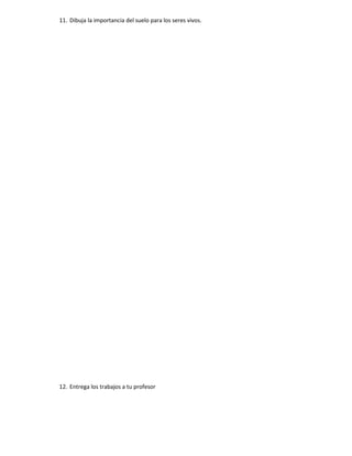 11. Dibuja la importancia del suelo para los seres vivos.




12. Entrega los trabajos a tu profesor
 