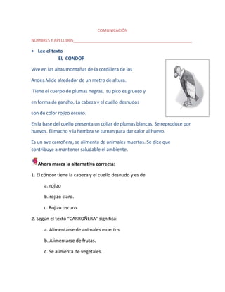 COMUNICACIÓN
NOMBRES Y APELLIDOS______________________________________________________

Lee el texto
EL CONDOR
Vive en las altas montañas de la cordillera de los
Andes.Mide alrededor de un metro de altura.
Tiene el cuerpo de plumas negras, su pico es grueso y
en forma de gancho, La cabeza y el cuello desnudos
son de color rojizo oscuro.
En la base del cuello presenta un collar de plumas blancas. Se reproduce por
huevos. El macho y la hembra se turnan para dar calor al huevo.
Es un ave carroñera, se alimenta de animales muertos. Se dice que
contribuye a mantener saludable el ambiente.
Ahora marca la alternativa correcta:
1. El cóndor tiene la cabeza y el cuello desnudo y es de
a. rojizo
b. rojizo claro.
c. Rojizo oscuro.
2. Según el texto “CARROÑERA” significa:
a. Alimentarse de animales muertos.
b. Alimentarse de frutas.
c. Se alimenta de vegetales.

 