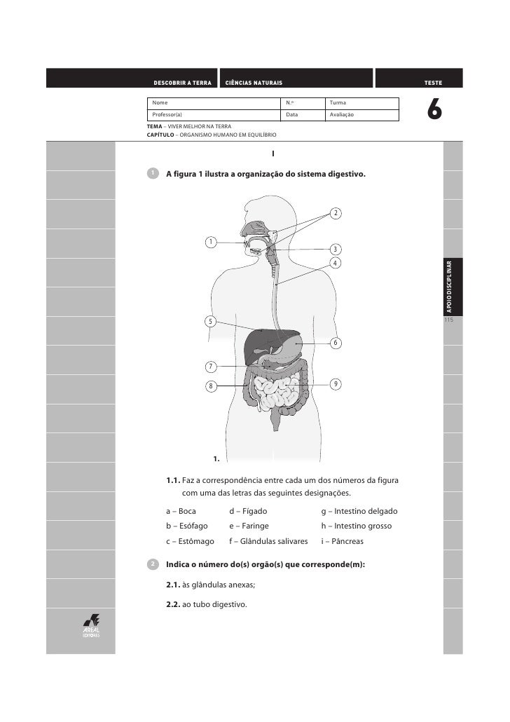 Implantes de um peito de nova geração