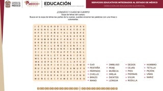 SERVICIOS EDUCATIVOS INTEGRADOS AL ESTADO DE MÉXICO
DIRECCIÓN DE EDUCACIÓN ELEMENTAL
¡CONOZCO Y CUIDO MI CUERPO!
Sopa de letras del cuerpo.
Busca en la sopa de letras las partes de tu cuerpo, puedes encerrar las palabras con una línea o
colorearlas.
 