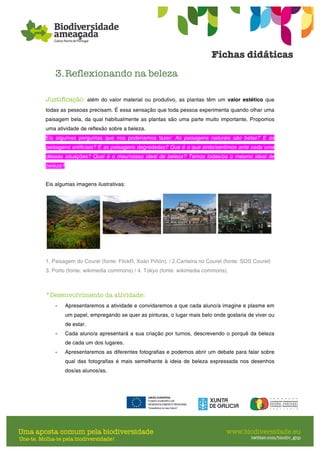 3.Reflexionando na beleza
Justificação: além do valor material ou produtivo, as plantas têm um valor estético que
todas as pessoas precisam. É essa sensação que toda pessoa experimenta quando olhar uma
paisagem bela, da qual habitualmente as plantas são uma parte muito importante. Propomos
uma atividade de reflexão sobre a beleza.
Eis algumas perguntas que nos poderíamos fazer: As paisagens naturais são belas? E as
paisagens artificiais? E as paisagens degradadas? Que é o que sinto/sentimos ante cada uma
dessas situações? Qual é o meu/nosso ideal de beleza? Temos todas/os o mesmo ideal de
beleza?
Eis algumas imagens ilustrativas:
1. Paisagem do Courel (fonte: FlickR, Xoán Piñón). / 2.Canteira no Courel (fonte: SOS Courel)
3. Porto (fonte: wikimedia commons) / 4. Tokyo (fonte: wikimedia commons).
*Desenvolvimento da atividade:
- Apresentaremos a atividade e convidaremos a que cada aluno/a imagine e plasme em
um papel, empregando se quer as pinturas, o lugar mais belo onde gostaria de viver ou
de estar.
- Cada aluno/a apresentará a sua criação por turnos, descrevendo o porquê da beleza
de cada um dos lugares.
- Apresentaremos as diferentes fotografias e podemos abrir um debate para falar sobre
qual das fotografias é mais semelhante à ideia de beleza expressada nos desenhos
dos/as alunos/as.
 