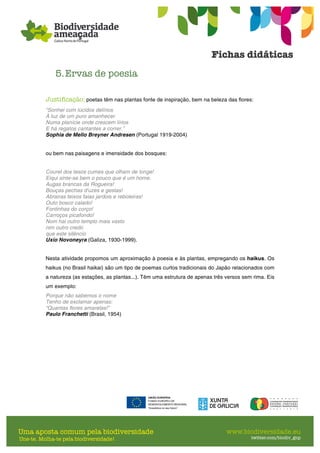 5.Ervas de poesia
Justificação: poetas têm nas plantas fonte de inspiração, bem na beleza das flores:
“Sonhei com lúcidos delírios
À luz de um puro amanhecer
Numa planície onde crescem lírios
E há regatos cantantes a correr.”
Sophia de Mello Breyner Andresen (Portugal 1919-2004)
ou bem nas paisagens e imensidade dos bosques:
Courel dos tesos cumes que olham de longe!
Eiqui sinte-se bem o pouco que é um home.
Augas brancas da Rogueira!
Bouças pechas d'uzes e gestas!
Abrairas teixos faias jardois e reboleiras!
Outo bosco calado!
Fontinhas do corço!
Carroços picafondo!
Nom hai outro templo mais vasto
nim outro credo
que este silêncio
Uxío Novoneyra (Galiza, 1930-1999).
Nesta atividade propomos um aproximação à poesia e às plantas, empregando os haikus. Os
haikus (no Brasil haikai) são um tipo de poemas curtos tradicionais do Japão relacionados com
a natureza (as estações, as plantas...). Têm uma estrutura de apenas três versos sem rima. Eis
um exemplo:
Porque não sabemos o nome
Tenho de exclamar apenas:
“Quantas flores amarelas!”
Paulo Franchetti (Brasil, 1954)
 