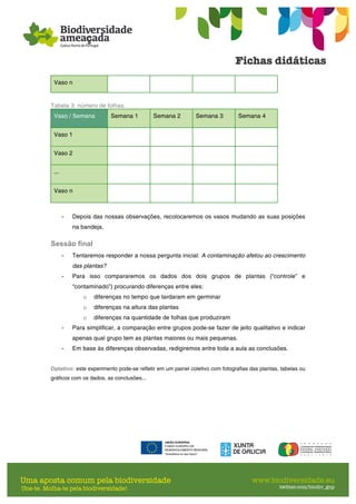 Vaso n
Tabela 3: número de folhas.
Vaso / Semana Semana 1 Semana 2 Semana 3 Semana 4
Vaso 1
Vaso 2
...
Vaso n
- Depois das nossas observações, recolocaremos os vasos mudando as suas posições
na bandeja.
Sessão final
- Tentaremos responder a nossa pergunta inicial: A contaminação afetou ao crescimento
das plantas?
- Para isso compararemos os dados dos dois grupos de plantas (“controle” e
“contaminado”) procurando diferenças entre eles:
o diferenças no tempo que tardaram em germinar
o diferenças na altura das plantas
o diferenças na quantidade de folhas que produziram
- Para simplificar, a comparação entre grupos pode-se fazer de jeito qualitativo e indicar
apenas qual grupo tem as plantas maiores ou mais pequenas.
- Em base às diferenças observadas, redigiremos entre toda a aula as conclusões.
Optativo: este experimento pode-se refletir em um painel coletivo com fotografias das plantas, tabelas ou
gráficos com os dados, as conclusões...
 