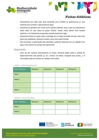 - Colocaremos em cada vaso duas sementes (se é lentilha ou grelo/couve) ou uma
semente (se é ervilha) e adicionaremos água.
- Usaremos as garrafas sem fundo como estufas artificiais, para o qual as colocaremos
sobre cada um dos vasos do grupo “Estufa”. Esses vasos devem ficar sempre
cobertos, e só retiraremos as garrafas quando queiramos regar.
- Deixaremos todos os vasos sobre a bandeja em um lugar iluminado da aula, não muito
perto dos calefatores. Devemos manter a terra dos vasos húmida.
- Para favorecer a germinação das sementes, podemos deixá-las em um algodão com
água o dia anterior ao começo do experimento.
Seguimento
- Uma vez por semana observaremos os vasos, tomando dados sobre o estado de
desenvolvimento das plantas (p. ex.: número de folhas, longitude dos caules...). A
informação pode-se recolher em tabelas como estas:
Tabela 1: altura da planta (cm)
Vaso / Semana Semana 1 Semana 2 Semana 3 Semana 4
Vaso 1
Vaso 2
...
Vaso n
Tabela 2: número de folhas.
Vaso / Semana Semana 1 Semana 2 Semana 3 Semana 4
Vaso 1
Vaso 2
 