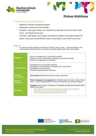 * Desenvolvimento da atividade:
- Organizar o alunado em pequenos grupos.
- Apresentar o conceito de nome científico.
- Entregar a cada grupo folhas com desenhos de diferentes formas de folhas, flores,
frutos... (ver secção de recursos).
- Convidar a cada grupo a que imagine (e desenhe em papel) a sua própria espécie de
planta, o seu caule, as suas folhas e flores, os seus frutos, e que invente o seu nome.
Optativo:
- Em lugar de entregar papéis com desenhos de folhas, caules, raízes..., pode-se programar uma
saída ao pátio da escola e fazer uma recolha de material vegetal e logo usá-lo como modelo.
Objetivos
- Fazer um achegamento à nomenclatura científica.
- Observar a enorme .diversidade morfológica que existe nas plantas
- Estimular a imaginação e a criatividade
Competencias
- Competência em comunicação linguística.
- Competência no conhecimento e interação com o mundo físico.
- Competência cultural e artística.
- Competência para aprender a aprender.
Duração
aproximada
Uma sessão (preferivelmente antes da visita à exposição).
Material
necessário
Fichas impressas com esquemas de diferentes tipos de raízes, caules, folhas,
flores..., ou bem disponibilidade de acesso à internet para a consulta de imagens.
Recursos
Ligações onde se podem ver desenhos e fotografias de diferentes formas de folhas,
caules, flores, cores...
- http://plants.ifas.ufl.edu/education/images/a_glossary_leaf_shapes.jpg
- http://www.vplants.org/plants/glossary/plate01.html
- https://charge.wisc.edu/botany/sales.asp - posters
 