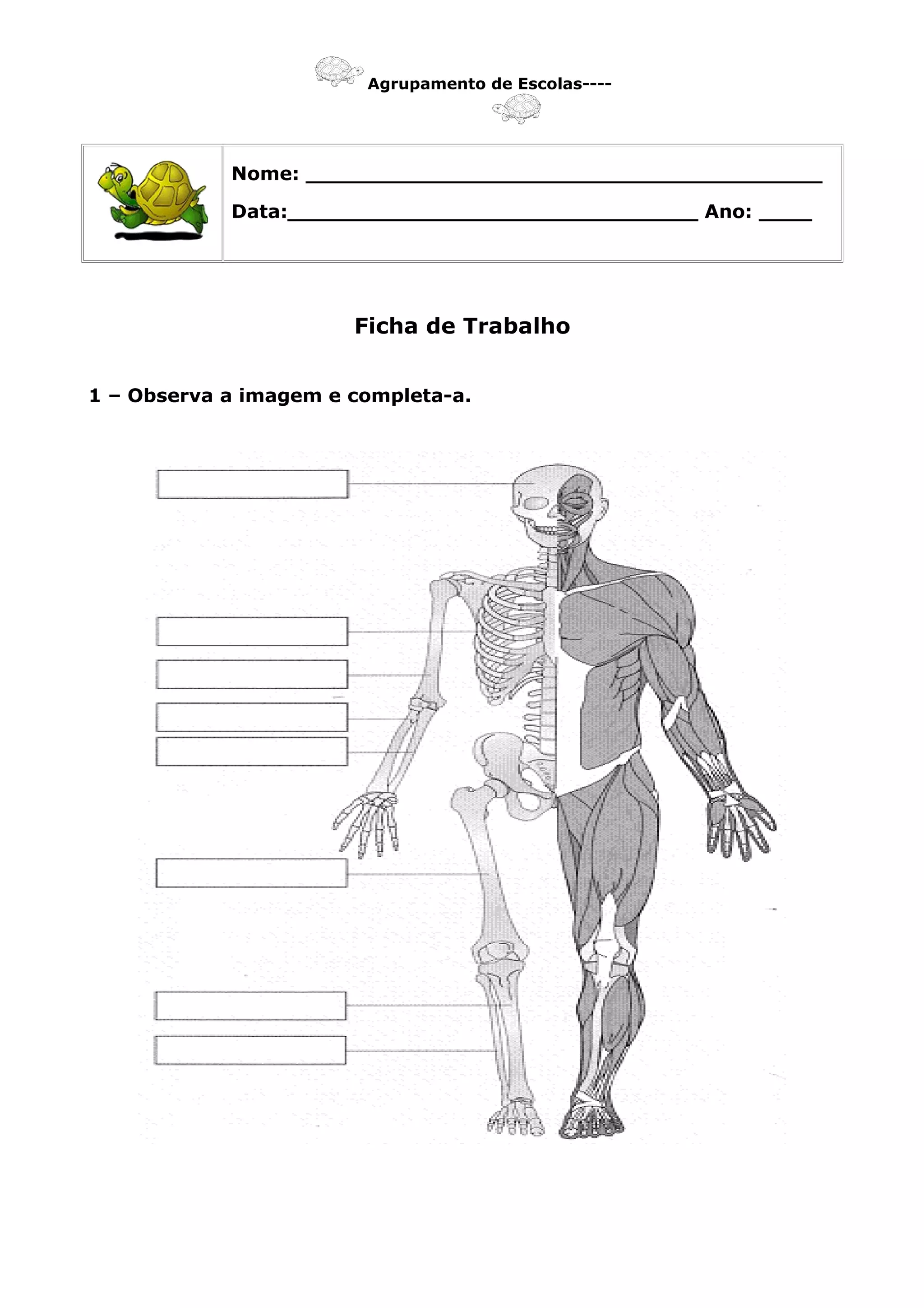 Agrupamento de Escolas----
Nome: _______________________________________
Data:_______________________________ Ano: ____
Ficha de Trabalho
1 – Observa a imagem e completa-a.
 