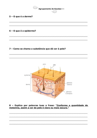 Agrupamento de Escolas----
5 – O que é a derme?
_______________________________________________________________
_______________________________________________________________
6 – O que é a epiderme?
_______________________________________________________________
_______________________________________________________________
7 – Como se chama a substância que dá cor à pele?
_______________________________________________________________
_______________________________________________________________
8 – Explica por palavras tuas a frase: “Conforme a quantidade de
melanina, assim a cor da pele é clara ou mais escura.”
_______________________________________________________________
_______________________________________________________________
_______________________________________________________________
_______________________________________________________________
 