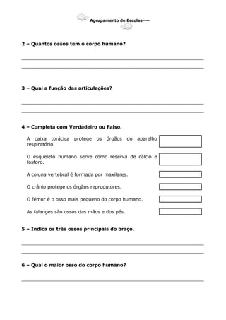 Agrupamento de Escolas----
2 – Quantos ossos tem o corpo humano?
_______________________________________________________________
_______________________________________________________________
3 – Qual a função das articulações?
_______________________________________________________________
_______________________________________________________________
4 – Completa com Verdadeiro ou Falso.
A caixa torácica protege os órgãos do aparelho
respiratório.
O esqueleto humano serve como reserva de cálcio e
fósforo.
A coluna vertebral é formada por maxilares.
O crânio protege os órgãos reprodutores.
O fémur é o osso mais pequeno do corpo humano.
As falanges são ossos das mãos e dos pés.
5 – Indica os três ossos principais do braço.
_______________________________________________________________
_______________________________________________________________
6 – Qual o maior osso do corpo humano?
_______________________________________________________________
 