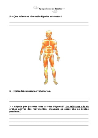 Agrupamento de Escolas----
5 – Que músculos não estão ligados aos ossos?
_______________________________________________________________
_______________________________________________________________
6 – Indica três músculos voluntários.
_______________________________________________________________
_______________________________________________________________
7 – Explica por palavras tuas a frase seguinte: “Os músculos são os
órgãos activos dos movimentos, enquanto os ossos são os órgãos
passivos.”
_______________________________________________________________
_______________________________________________________________
_______________________________________________________________
_______________________________________________________________
 