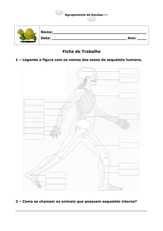 Agrupamento de Escolas----
Nome:________________________________________
Data: ________________________________ Ano: ____
Ficha de Trabalho
1 – Legenda a figura com os nomes dos ossos do esqueleto humano.
2 – Como se chamam os animais que possuem esqueleto interno?
_______________________________________________________________
 