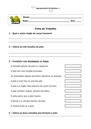 Agrupamento de Escolas----
Nome:________________________________________
Data:________________________________ Ano: ____
Ficha de Trabalho
1 – Qual o maior órgão do corpo humano?
_______________________________________________________________
_______________________________________________________________
2 – Indica as três funções da pele.
_______________________________________________________________
______________________________________________________________
3 – Completa com Verdadeiro ou Falso.
A camada exterior da pele é a epiderme.
A pele tem seis funções principais.
As impressões digitais permitem identificar as pessoas.
A pele é mais fina na sola dos pés.
A pele é o órgão mais pequeno do corpo humano.
A pele também respira, através dos pêlos.
É pelos poros que a pele respira.
A derme é a camada exterior da pele.
A melanina dá cor à pele.
4 – Indica as duas camadas que formam a pele.
_______________________________________________________________
 