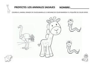 PROYECTO: LOS ANIMALES SALVAJES NOMBRE:______________
COLOREA EL ANIMAL GRANDE DE COLOR AMARILLO, EL MEDIANO DE COLOR MARRON Y EL PEQUEÑO DE COLOR VERDE.