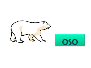 oso
 