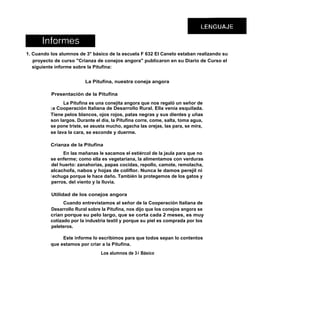 1. Cuando los alumnos de 3° básico de la escuela F 632 El Canelo estaban realizando su
   proyecto de curso "Crianza de conejos angora" publicaron en su Diario de Curso el
   siguiente informe sobre la Pitufina:


                         La Pitufina, nuestra coneja angora

          Presentación de la Pitufina
                La Pitufina es una conejita angora que nos regaló un señor de
          l a Cooperación Italiana de Desarrollo Rural. Ella venía esquilada.
          Tiene pelos blancos, ojos rojos, patas negras y sus dientes y uñas
          son largos. Durante el día, la Pitufina corre, come, salta, toma agua,
          se pone triste, se asusta mucho, agacha las orejas, las para, se mira,
          se lava la cara, se esconde y duerme.

          Crianza de la Pitufina
                En las mañanas le sacamos el estiércol de la jaula para que no
          se enferme; como ella es vegetariana, la alimentamos con verduras
          del huerto: zanahorias, papas cocidas, repollo, camote, remolacha,
          alcachofa, nabos y hojas de coliflor. Nunca le damos perejil ni
          l echuga porque le hace daño. También la protegemos de los gatos y
          perros, del viento y la lluvia.

          Utilidad de los conejos angora
                Cuando entrevistamos al señor de la Cooperación Italiana de
          Desarrollo Rural sobre la Pitufina, nos dijo que los conejos angora se
          crían porque su pelo largo, que se corta cada 2 meses, es muy
          cotizado por la industria textil y porque su piel es comprada por los
          peleteros.

               Este informe lo escribimos para que todos sepan lo contentos
          que estamos por criar a la Pitufina.
                                 Los alumnos de 3 4 Básico
 