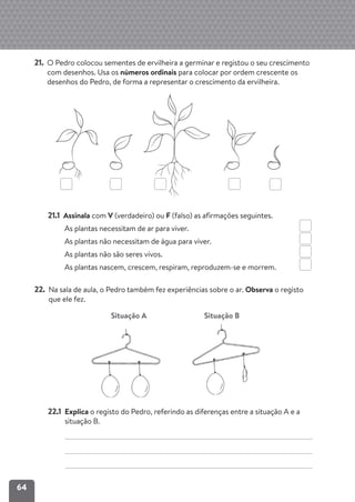 64
21. O Pedro colocou sementes de ervilheira a germinar e registou o seu crescimento
com desenhos. Usa os números ordinais para colocar por ordem crescente os
desenhos do Pedro, de forma a representar o crescimento da ervilheira.
21.1 Assinala com V (verdadeiro) ou F (falso) as afirmações seguintes.
As plantas necessitam de ar para viver.
As plantas não necessitam de água para viver.
As plantas não são seres vivos.
As plantas nascem, crescem, respiram, reproduzem-se e morrem.
22. Na sala de aula, o Pedro também fez experiências sobre o ar. Observa o registo
que ele fez.
22.1 Explica o registo do Pedro, referindo as diferenças entre a situação A e a
situação B.
Situação A Situação B
 