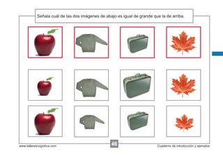 Señala las de las dos imágenes de abajo es igual de grande que la de arriba.
Escribir cuálinstrucciones...

www.tallerescognitiva.com

46
00

Cuaderno de introducción y ejemplos

 