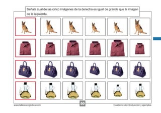 Señala cuál de las cinco imágenes de la derecha es igual de grande que la imagen
Escribir las instrucciones...
de la izquierda.

www.tallerescognitiva.com

50
00

Cuaderno de introducción y ejemplos

 