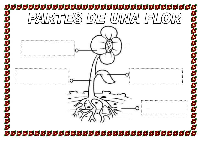 conversation english notes Fichas primavera