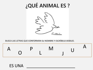 ¿QUÉ ANIMAL ES ?
BUSCA LAS LETRAS QUE CONFORMAN SU NOMBRE Y ESCRÍBELO DEBAJO.
A
O
AP
L J
M U
ES UNA _____________________
 