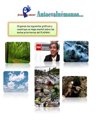 Organiza los siguientes gráficos y
construye un mapa mental sobre las
metas prioritarias del PLANAA.
 