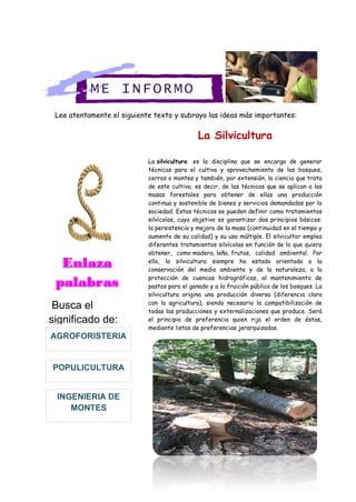Lee atentamente el siguiente texto y subraya las ideas más importantes:
La Silvicultura
La silvicultura es la disciplina que se encarga de generar
técnicas para el cultivo y aprovechamiento de los bosques,
cerros o montes y también, por extensión, la ciencia que trata
de este cultivo; es decir, de las técnicas que se aplican a las
masas forestales para obtener de ellas una producción
continua y sostenible de bienes y servicios demandados por la
sociedad. Estas técnicas se pueden definir como tratamientos
silvícolas, cuyo objetivo es garantizar dos principios básicos:
la persistencia y mejora de la masa (continuidad en el tiempo y
aumento de su calidad) y su uso múltiple. El silvicultor emplea
diferentes tratamientos silvícolas en función de lo que quiera
obtener, como madera, leña, frutos, calidad ambiental. Por
ello, la silvicultura siempre ha estado orientada a la
conservación del medio ambiente y de la naturaleza, a la
protección de cuencas hidrográficas, al mantenimiento de
pastos para el ganado y a la fruición pública de los bosques. La
silvicultura origina una producción diversa (diferencia clara
con la agricultura), siendo necesaria la compatibilización de
todas las producciones y externalizaciones que produce. Será
el principio de preferencia quien rija el orden de éstas,
mediante listas de preferencias jerarquizadas.
Enlaza
palabras
Busca el
significado de:
INGENIERIA DE
MONTES
POPULICULTURA
AGROFORISTERIA
ME INFORMO
 