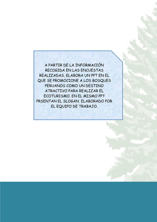 91
A PARTIR DE LA INFORMACIÓN
RECOGIDA EN LAS ENCUESTAS
REALIZADAS, ELABORA UN PPT EN EL
QUE SE PROMOCIONE A LOS BOSQUES
PERUANOS COMO UN DESTINO
ATRACTIVO PARA REALIZAR EL
ECOTURISMO. EN EL MISMO PPT
PRSENTAN EL SLOGAN ELABORADO POR
EL EQUIPO DE TRABAJO.
 