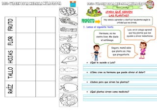 ¿PARA QUÉ SIRVEN
LAS PLANTAS?
1. Lemos el siguiente texto.
 ¿Qué le sucede a Luis?
 ¿Cómo cree su hermana que puede aliviar el dolor?
 ¿Sabes para que sirven las plantas?
 ¿Qué plantas sirven como medicina?
Hoy vamos a aprender a clasificar las plantas según la
utilidad que nos brinda.
Hermana, no me
siento bien. Me duele
el estómago.
Luis, en el colegio aprendí
que hay plantas que nos
ayudan a aliviar malestares.
Seguro, mamá sabe
que planta es. Hay
que preguntarle.
 