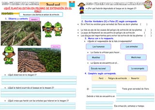 ¿QUÉ PLANTAS ESTÁN EN PELIGRO DE EXTENSIÓN EN EL
PERÚ?
1. Observa y contesta
 ¿Qué observas en la imagen 1?
 ¿Qué le habrá ocurrido al bosque en la imagen 2?
 ¿Qué crees que harán con las arboles que talaron en la imagen 1?
 ¿Por qué habrán depredado el boque en la imagen 2?
2. Escribe Verdadero (V) o Falso (F) según corresponda
 En el Perú no existen gran variedad de flora es decir plantas ( )
 La tala es una de las causas del peligro de extinción de las plantas ( )
 La puya de Raymondi se encuentra en peligro de extinción ( )
 Las abejas son importantes para evitar las extinción de las plantas ( )
3. Marca con x la respuesta.
 ¿Quién el responsable de la tala irresponsable?
 La Caoba la utilizan para hacer…
 La Quina se encuentra en el….
4. Completa según corresponda.
Reconocer a las plantas en peligro de extinción.
Los humanos Los animales
Muebles Medicinas
Escudo nacional La escarapela
IMAGEN 1
IMAGEN
El Tiene gran variedad de flora
Debido a tala se encuentra en
Esa situación, estamos a tiempo.
Perú - Peligro de extinción - Revertir
 