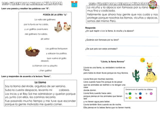 Leen una poesía y resaltan las palabras con “ll”.
POESÍA DE LA LETRA “LL”
La valla del gallinero
por la lluvia se ha caído,
y un gallitos aventurero
del gallinero ha salido,
¡él solito!
Las gallinas lloriquean
y sollozan los pollitos;
que vuelva el gallo
desean.
Lo llaman con su piquito:
- ¡Ven gallito!
Leen y responden de acuerdo a la lectura “llama”.
La Llama
Soy la llama del Ande, orgullosa de ser serrana.
Subo la cuesta despacio, levanto mi cabeza.
Los Incas y el Rey Sol me admiraban y querían porque
yo, junto con ellos, los caminos recorría.
Fue pasando mucho tiempo y me tuve que esconder
porque la gente malvada me quería comer.
La vicuña y la alpaca son famosas por su lana que es
muy fina y codiciada.
Felizmente que ahora hay gente que nos cuida y nos
protege porque nosotras las llamas, vicuñas y alpacas,
somos del mismo Perú.
Responde:
¿En qué región vive la llama, la vicuña y la alpaca?
¿Quiénes son famosas por su lana?
¿De qué país son estos animales?
“Lluvia, la llama llorona”
Lluvia es una llama, su verdadero nombre es
Flavia,
pero todos le dicen lluvia porque es muy llorona.
Lluvia llora por muchas razones.
Llora cuando hace frío porque le da pesar
que los animales se resfríen o no tengan una
casa
donde dormir.
Lluvia llora cuando hace calor,
porque piensa en los animales que tienen
sed
y no tienen agua para beber.
Lluvia también llora cuando es de noche.
Ella piensa en lo bebes llama que no tienen mamá.
Encierra en el cuento las sílabas:
lla lle lli
llo llu
 