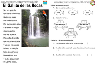Soy un pajarito
que tiene un moñito
Gallito de rocas
me suelen llamar.
Mis plumas son rojas
y a veces se mojan
si cerca del río
me voy a posar.
Me gusta el sonido
que hace la cascada
y yo con mi cuerpo
le llevo el compás.
Salto alegremente
batiendo las alas
y todos se admiran
de verme bailar.
Colorea la respuesta correcta:
1. Soy un pajarito que tiene un…
2. Me suelen llamar…
Coloca "V" o "F" según corresponda:
1. Las plumas del gallito de las rocas son rojas. ( )
2. Al gallito de las rocas no le gusta el sonido que hace la cascada.
( )
3. El gallito de las rocas salta alegremente. ( )
 